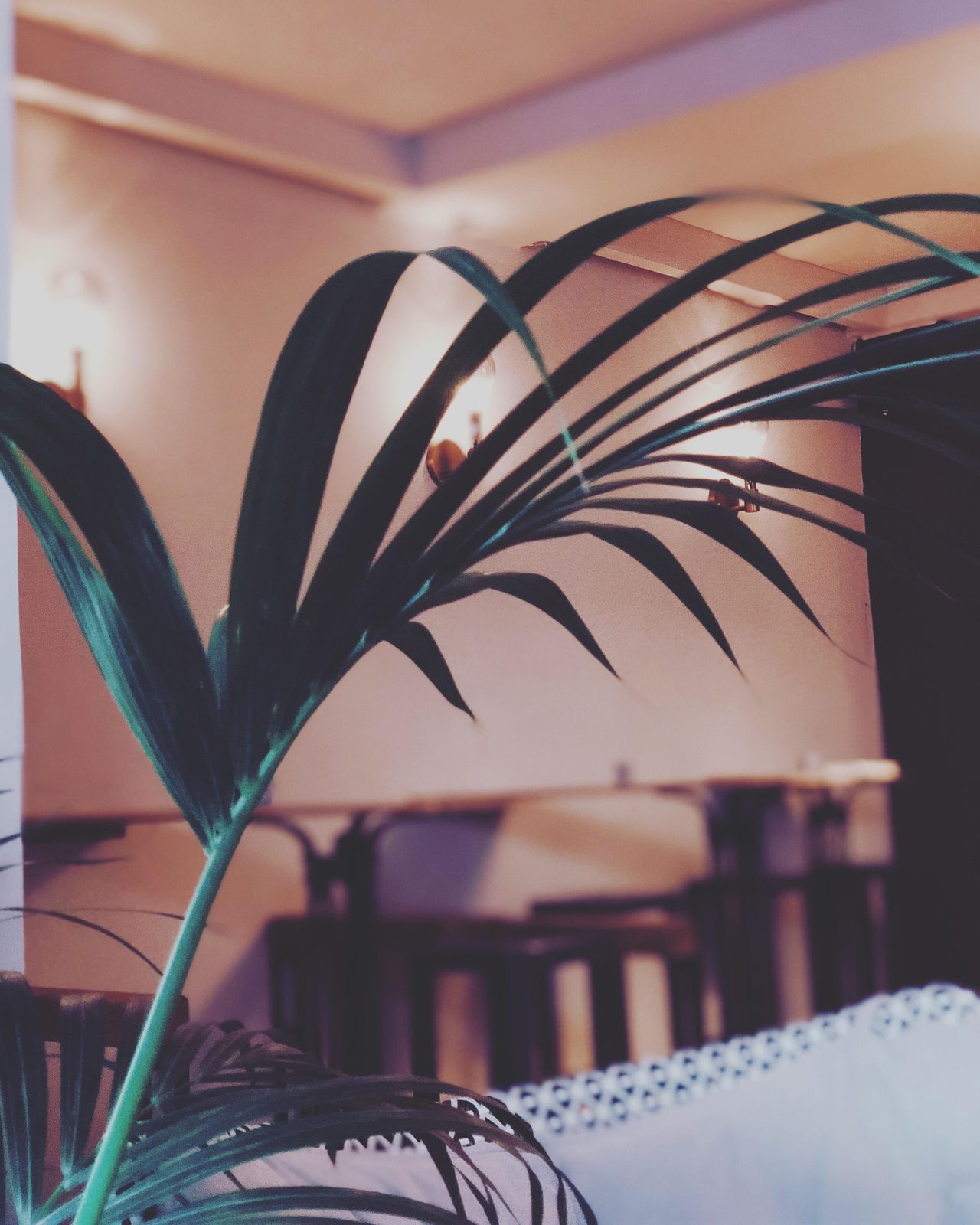 Ismaning PR & Marketing Event  Goldamsel Bar image 10