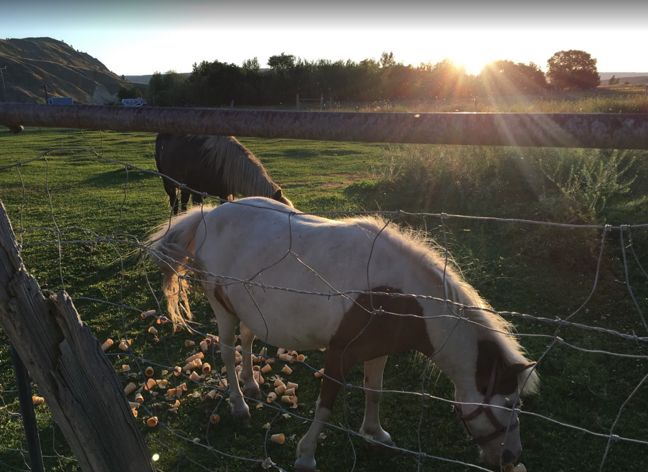 Rest of the World corporate event spaces Private residence Peniel Ranch image 19