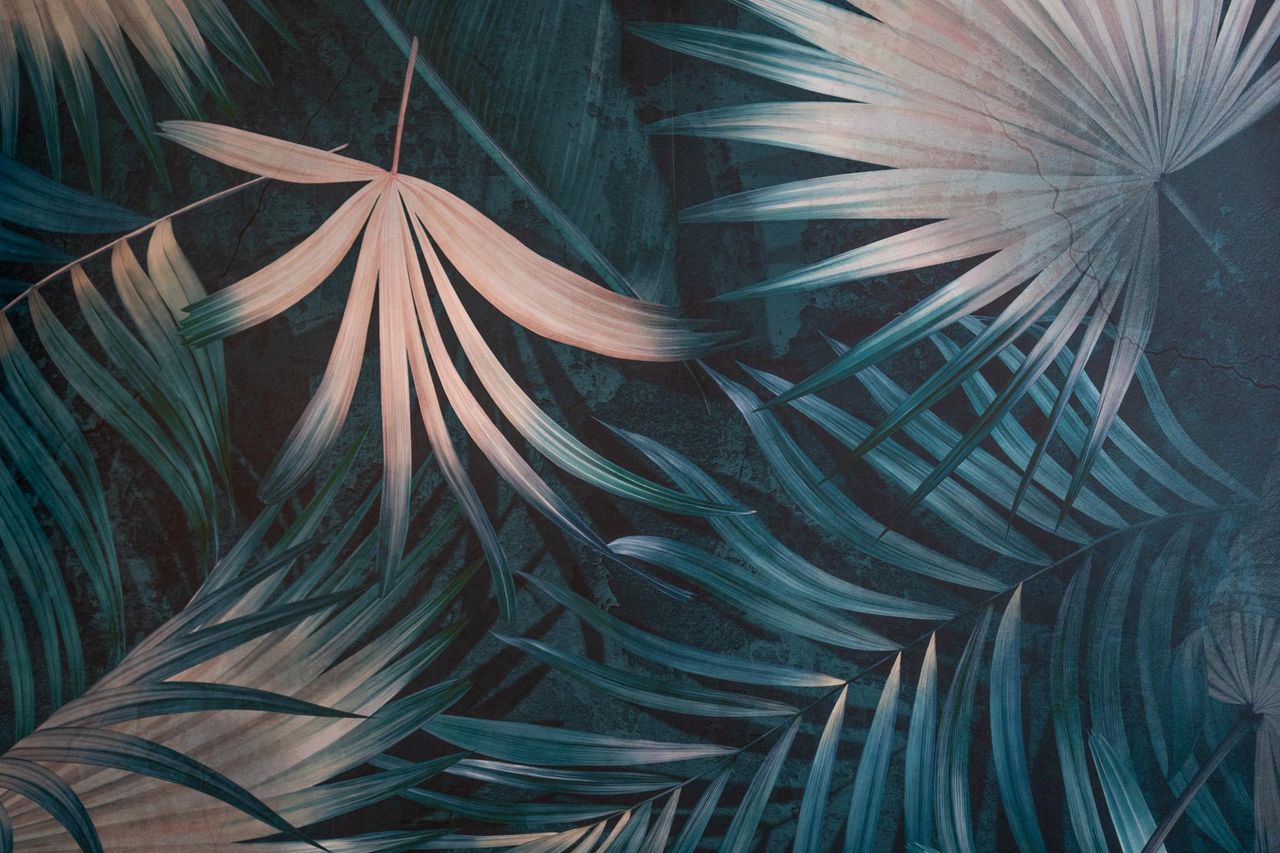 Stuttgart  Evenementenlocaties The Jungle Side image 2