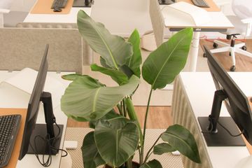 Munich Mobiles Arbeiten Office desk Arbeitsplatz für 1 Person (Desk 6) image 1