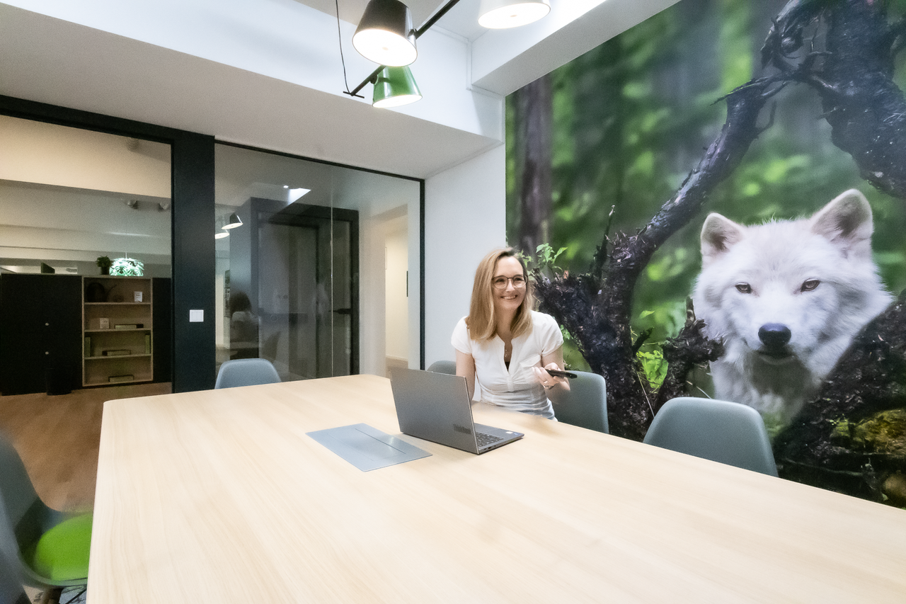 Essen Mobiles Arbeiten Coworking spaces Meetingraum Wolf image 1