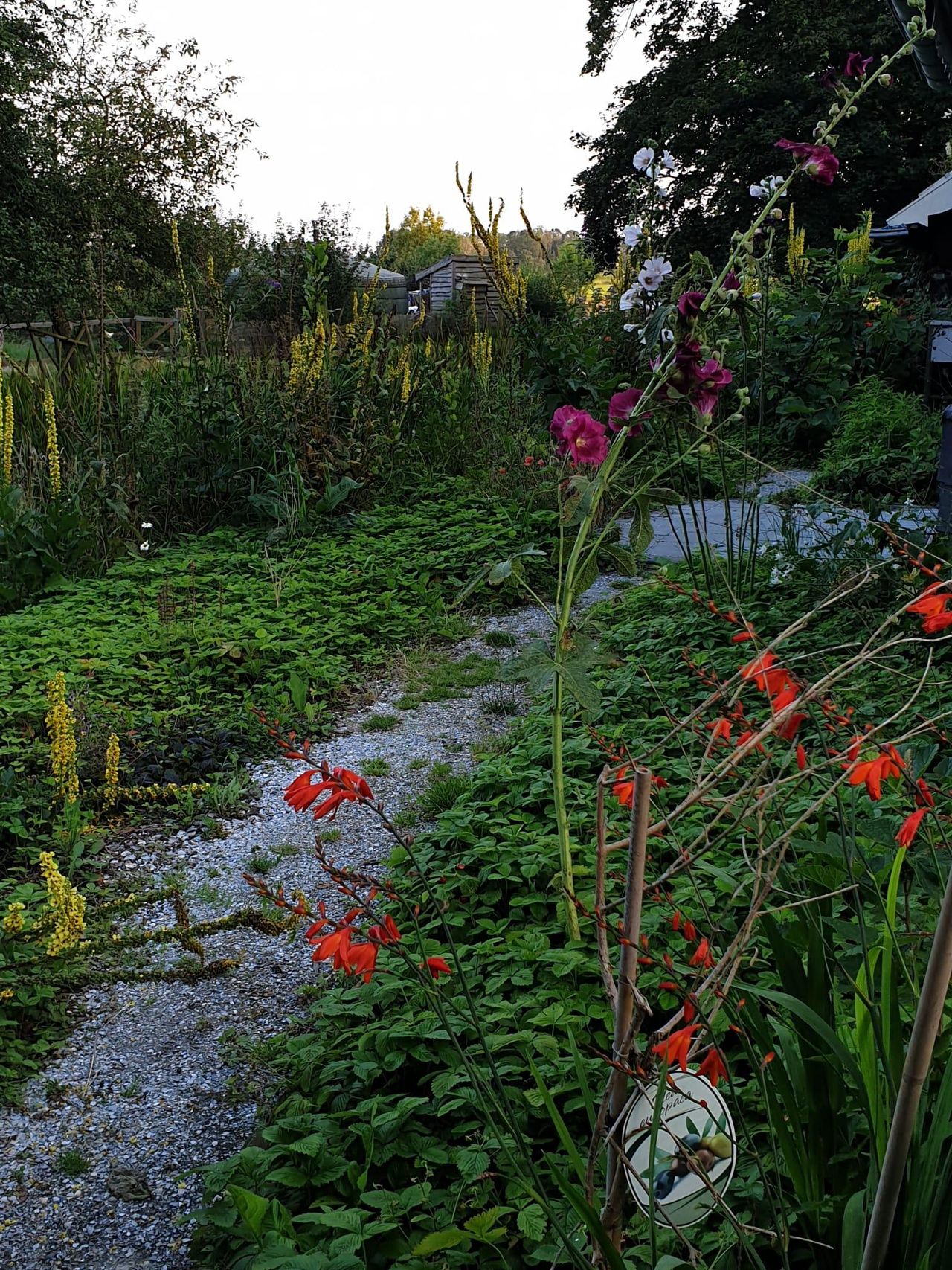 Rest van de wereld  Workshopruimtes Ut Atuljee image 0