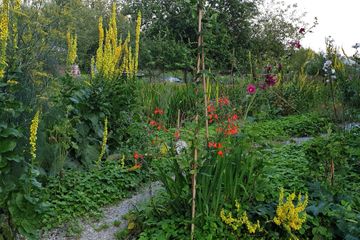 Rest van de wereld  Workshopruimtes Ut Atuljee image 1