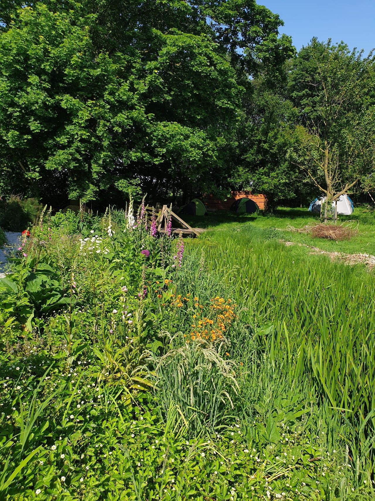 Rest van de wereld  Workshopruimtes Ut Atuljee image 4