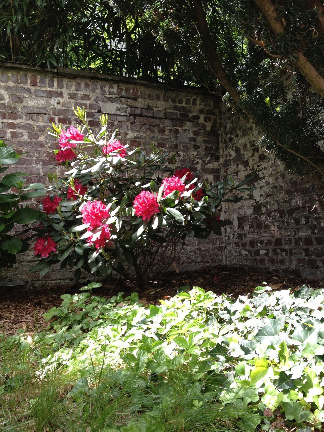 Düsseldorf   Gartenblick image 1