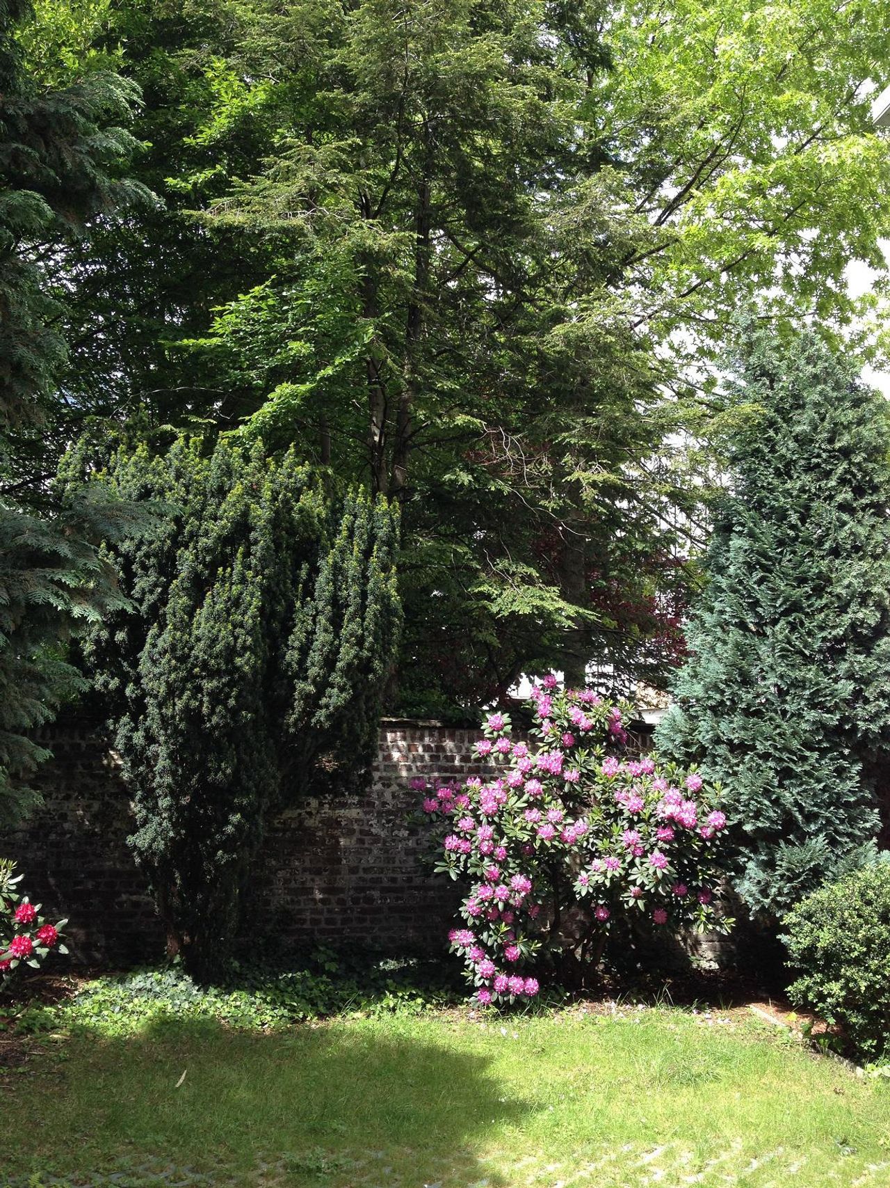 Düsseldorf   Gartenblick image 1