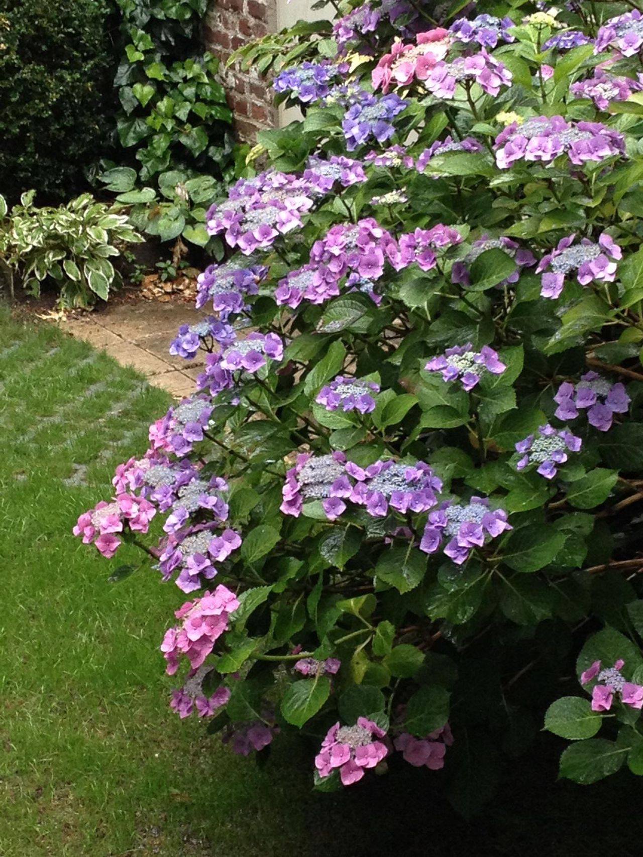 Düsseldorf   Gartenblick image 1