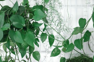 Berlin workshop spaces Coworking Space Studio Morrow image 5