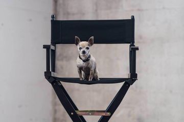 San Francisco workshop spaces Fotostudio Photo Studio image 6