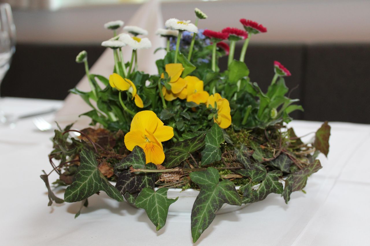 Sinsheim Geburtstag  Sickinger Hof image 10