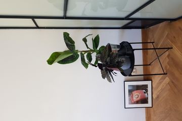 Amsterdam workshop spaces Meetingraum Privater meeting space image 2