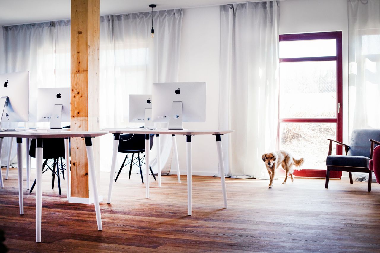 Rest of the World training rooms Meeting room Meetingraum image 15