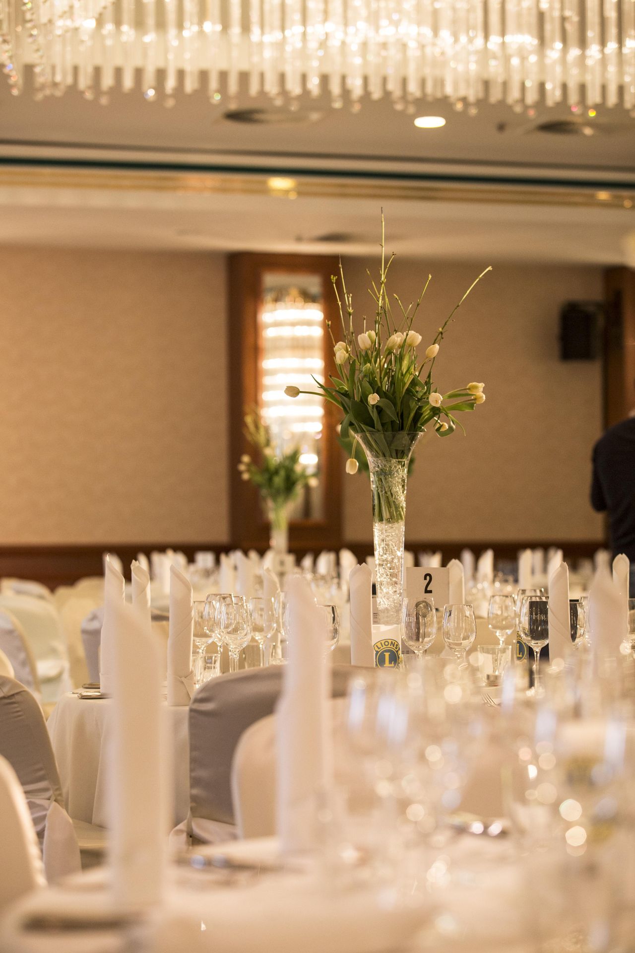 Cottbus   Saal Pückler image 3