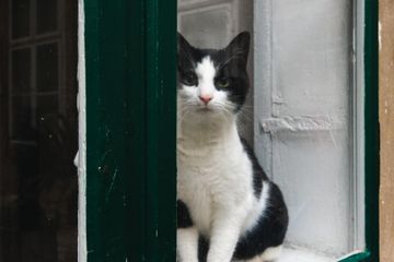 Wien PR & Marketing Event Ferdinandihof image 10