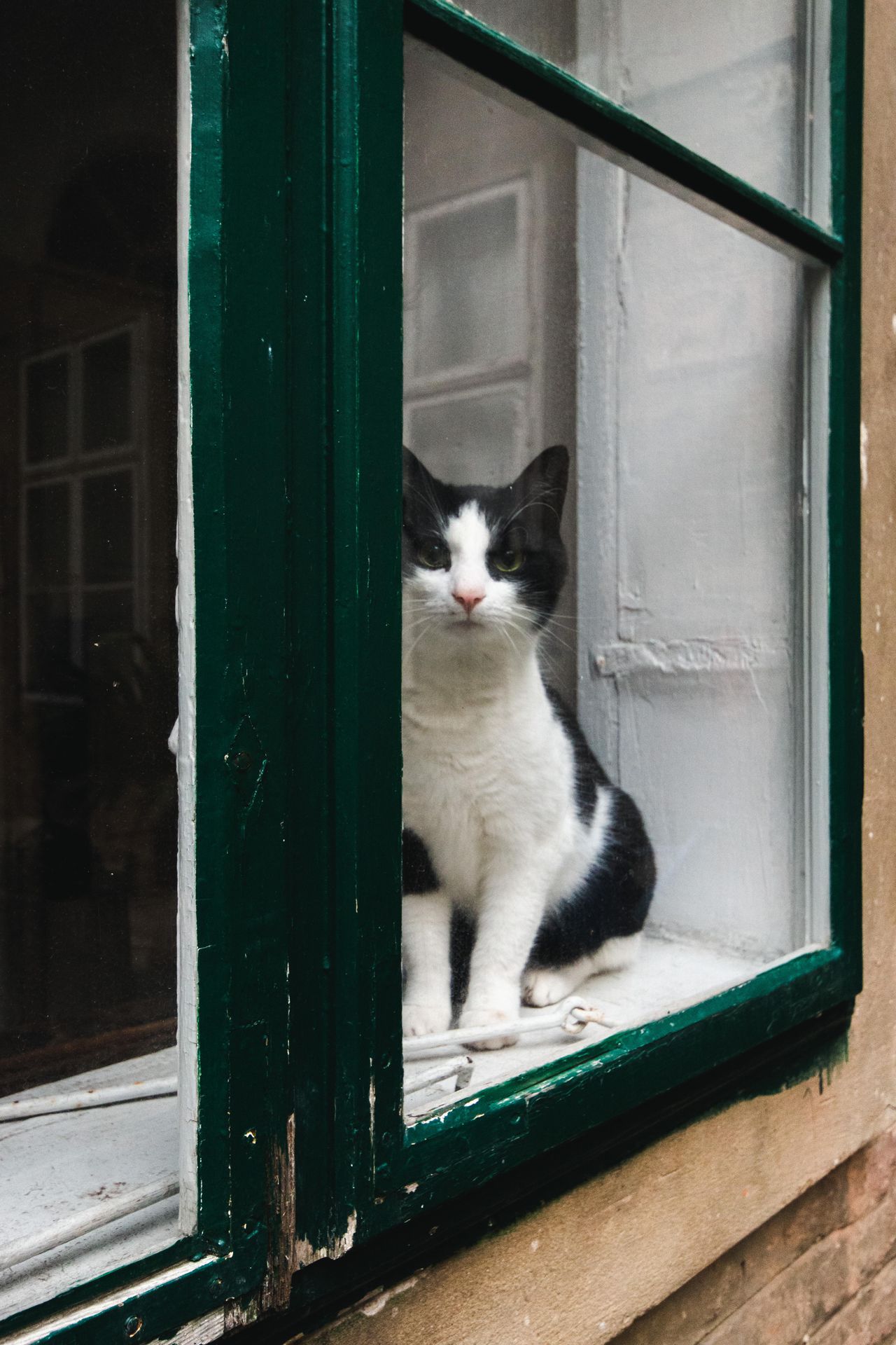 Wien PR & Marketing Event  Ferdinandihof image 10