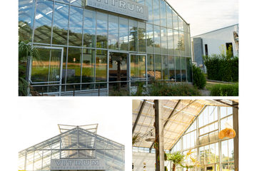 Baden-Baden Business Dinner Corporate event space Wintergarten image 22