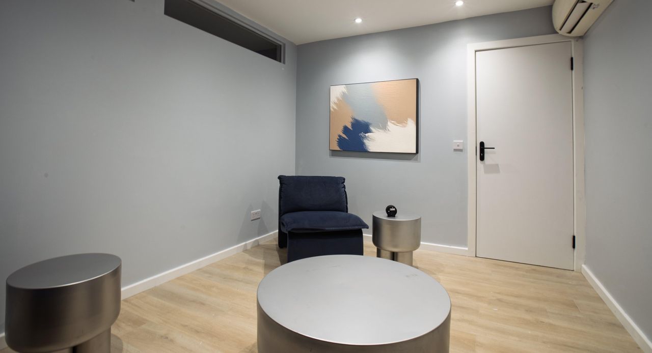 London  Consulting Room Willow Room image 1