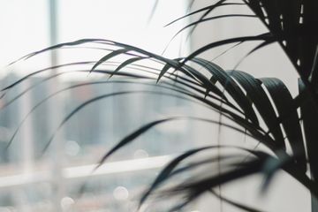 The Hague Coworking space Skiifa House coworking image 2