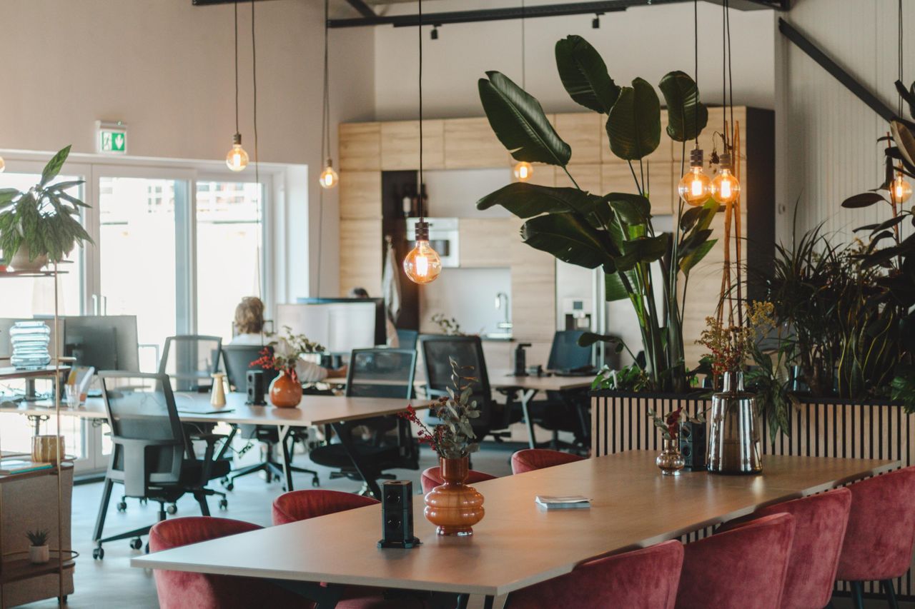 The Hague  Coworking space Skiifa House coworking image 5