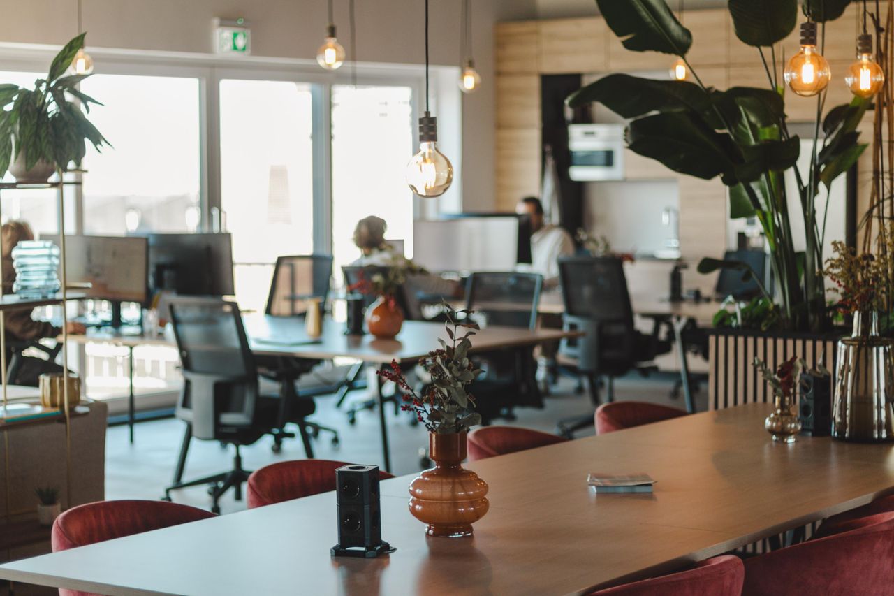 The Hague  Coworking space Skiifa House coworking image 8