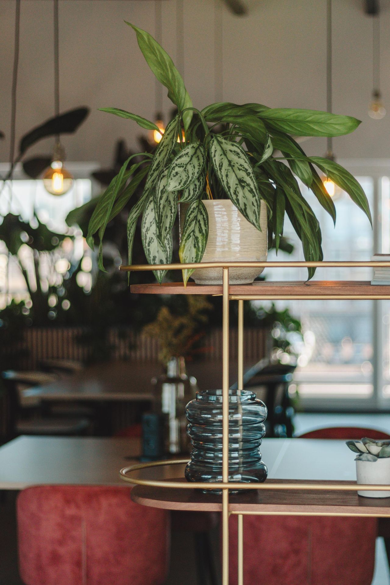 The Hague  Coworking space Skiifa House coworking image 11