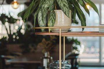 The Hague Coworking space Skiifa House coworking image 11