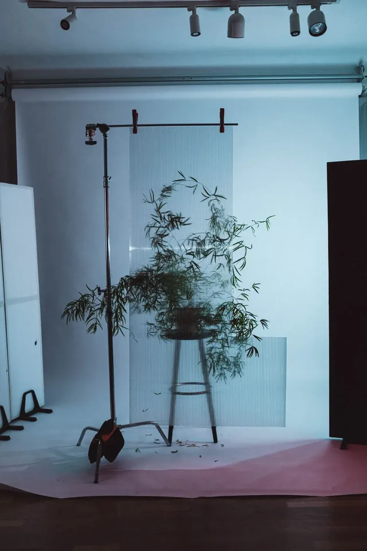 Berlin  Studio promo promo studio image 15