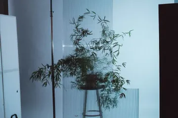 Berlin Studio promo promo studio image 15