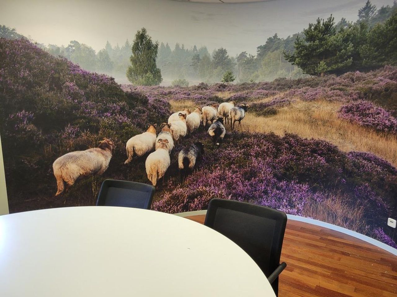 Nunspeet  Meeting room Veluwezaal - Boardroom 1.10 image 0