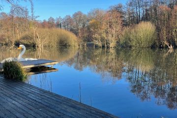 Krefeld  Außergewöhnliche Locations Seebungalow_Traar image 5