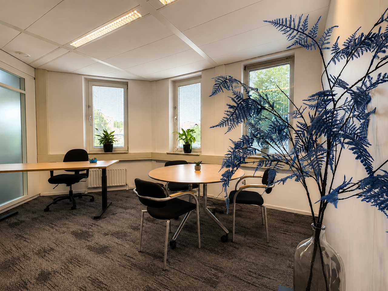 Assen Klantafspraak Day office Dagkantoor Blauw image 4