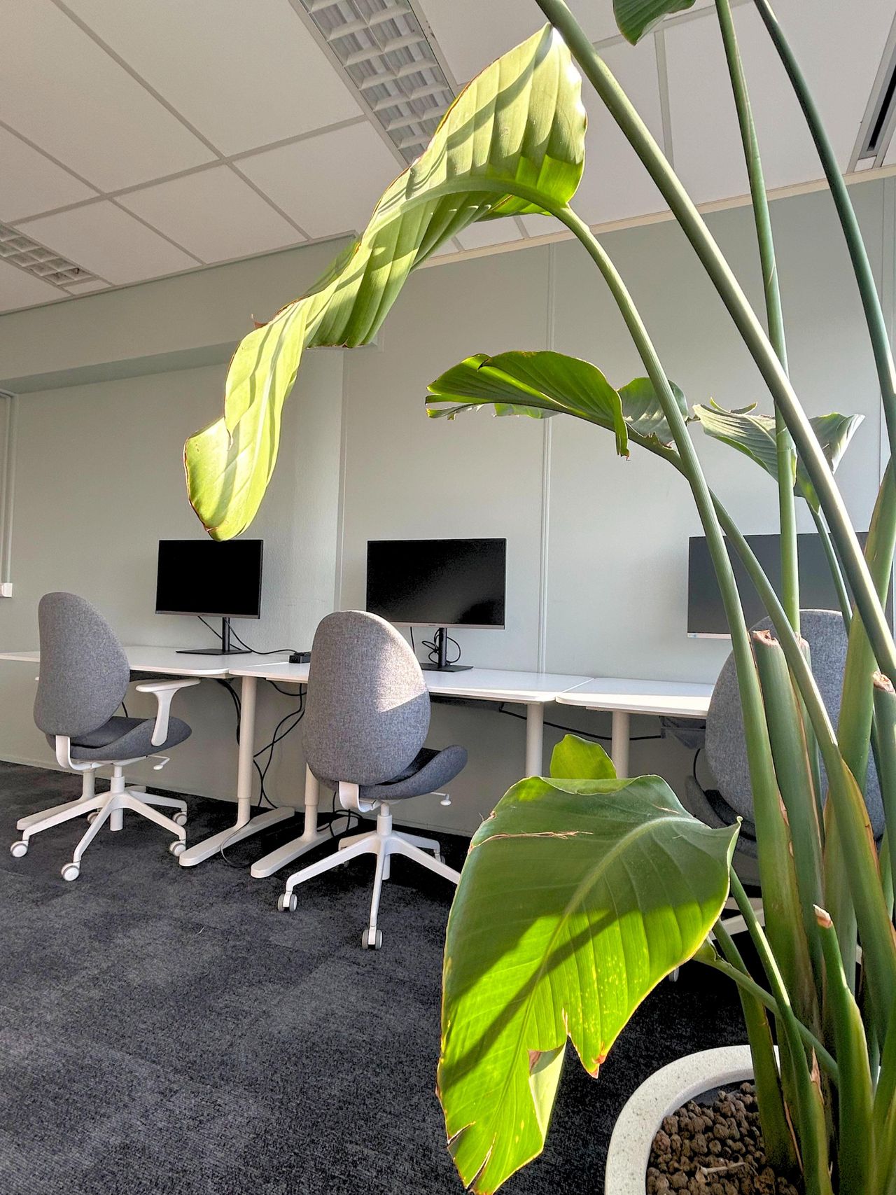 Rotterdam Coworking Meeting rooms Volledige coworking image 5