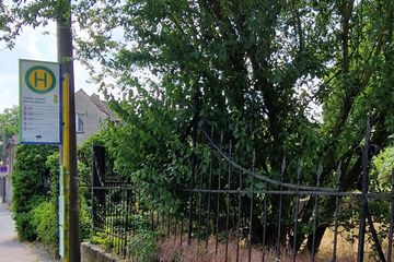 Werder Villa image 5