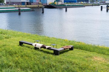 Zwolle Business center Pink L image 3