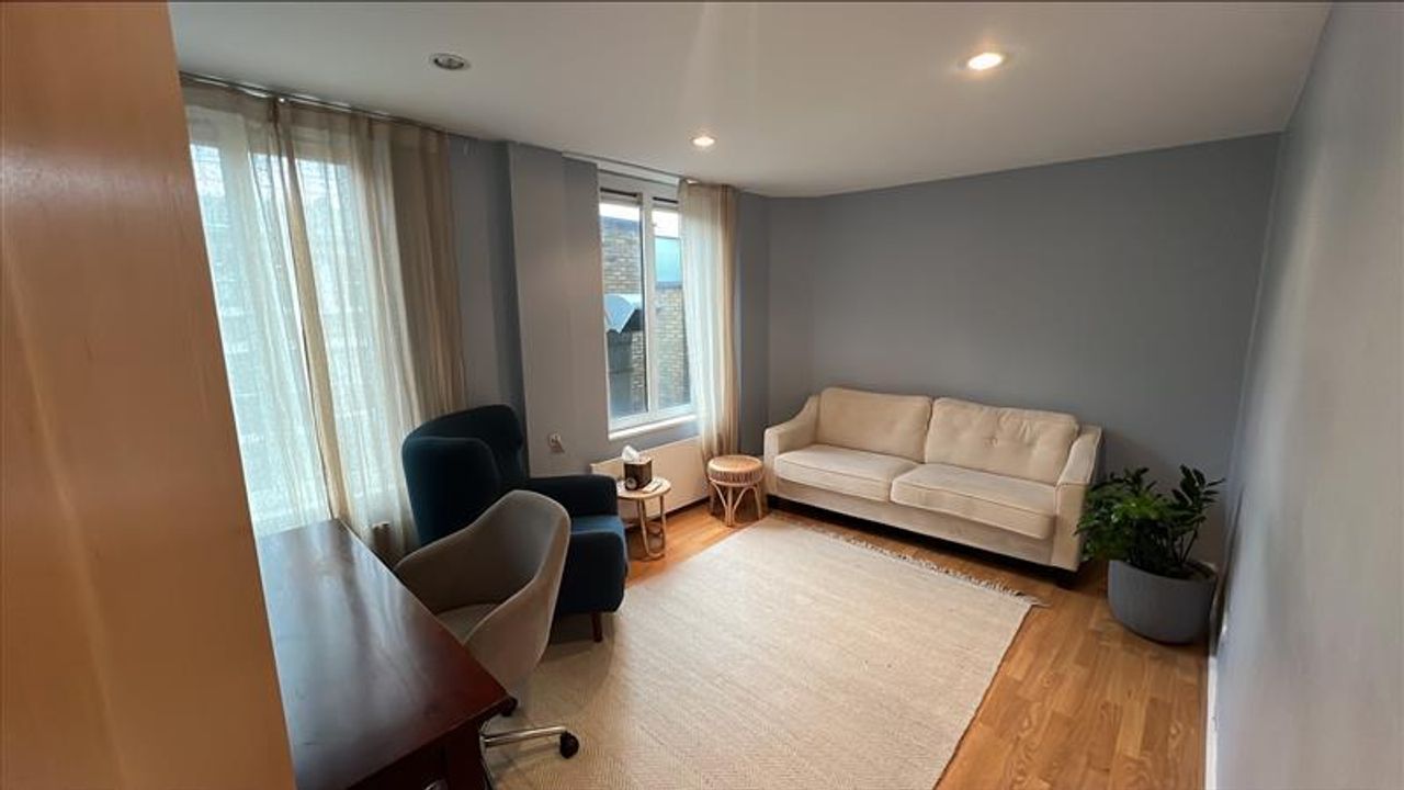 London  Consulting Room Magnolia Room image 0