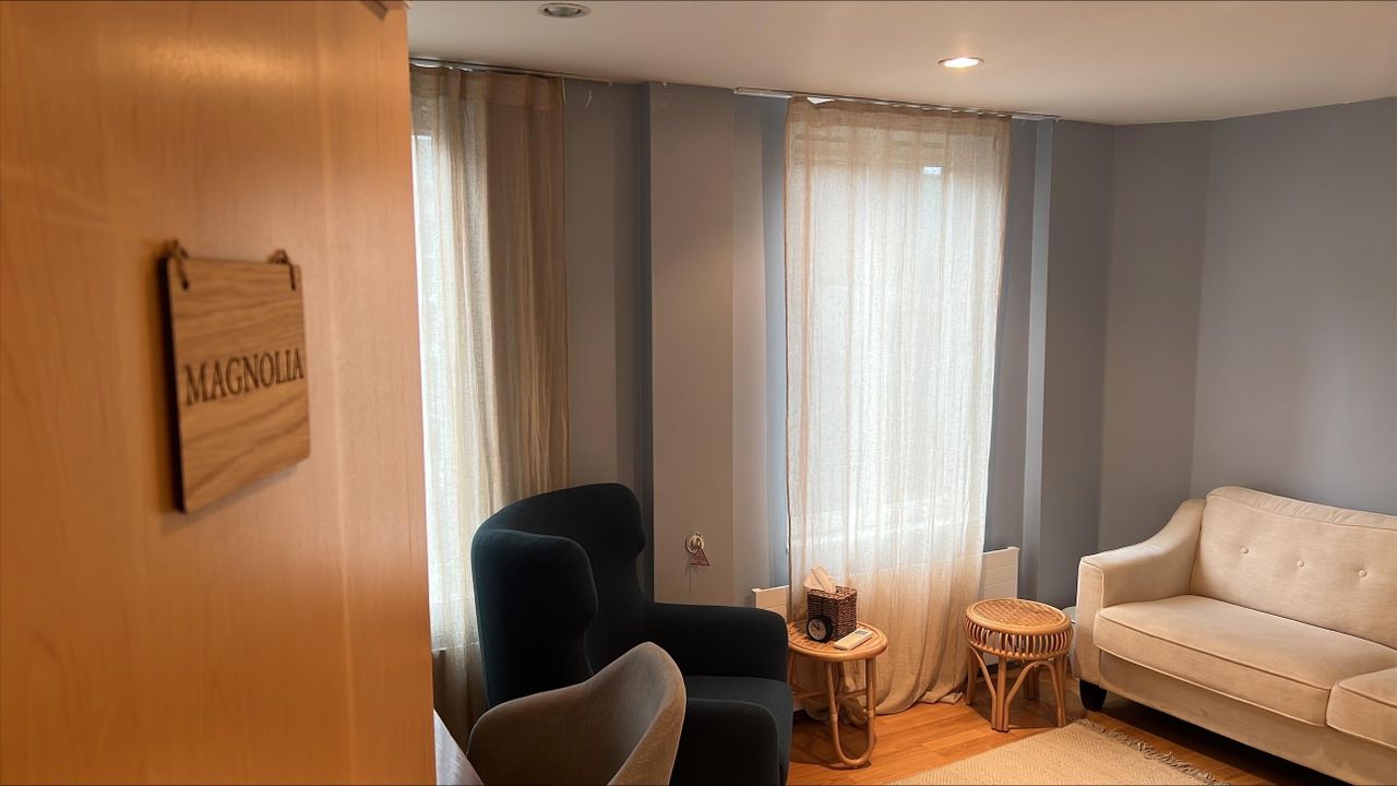 London  Consulting Room Magnolia Room image 4