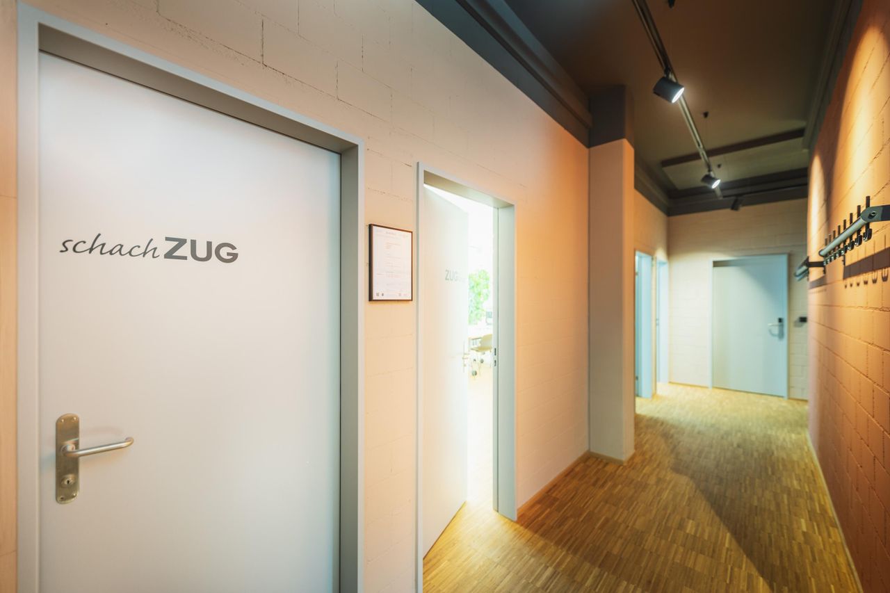 Rest of the World Kundengespräch  schachZUG image 1