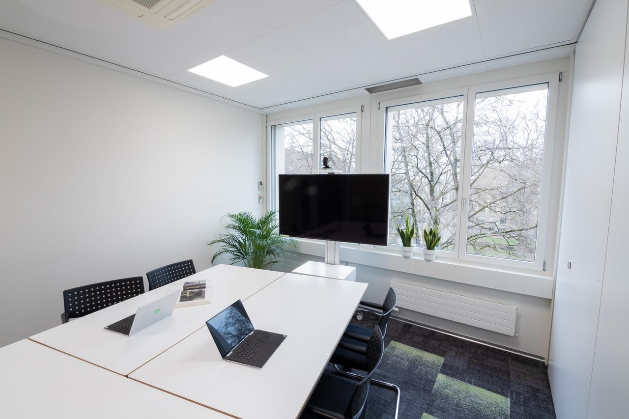 Zürich  Boardroom Besprechungszimmer 45A für Teammeetings image 2