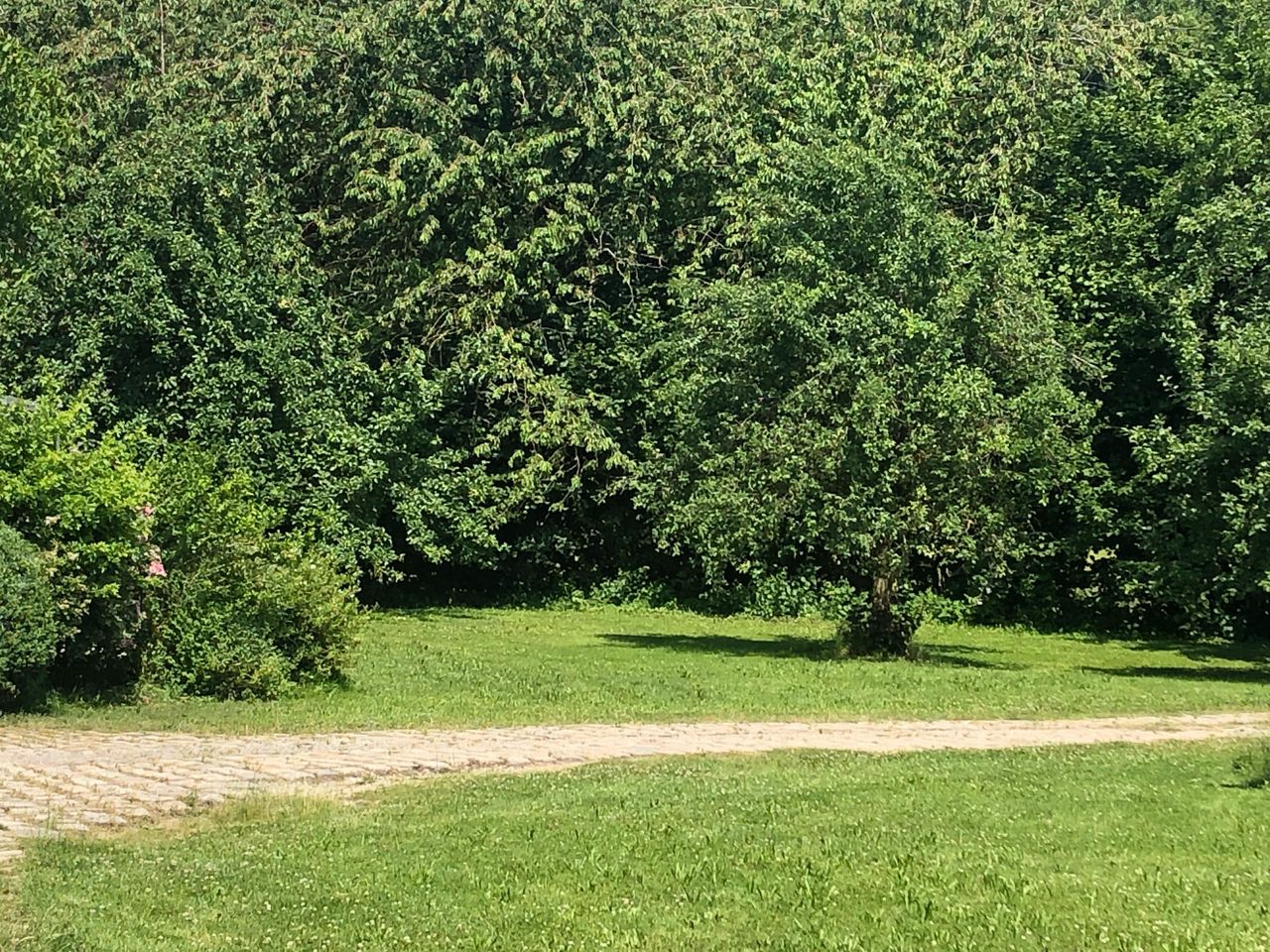 Rest of the World Offsite Meeting Seminar rooms Kunsthof image 8