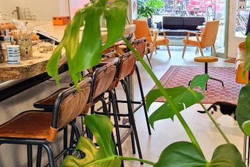 Amsterdam Vergaderzalen Het Paleis image 1