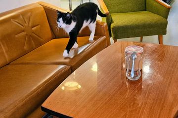 Amsterdam Vergaderzalen Het Paleis image 3