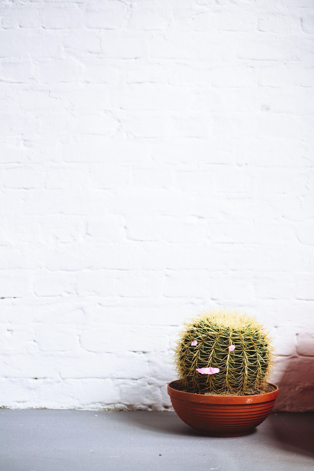 Berlin Creative Meeting Workshop spaces White Space image 10