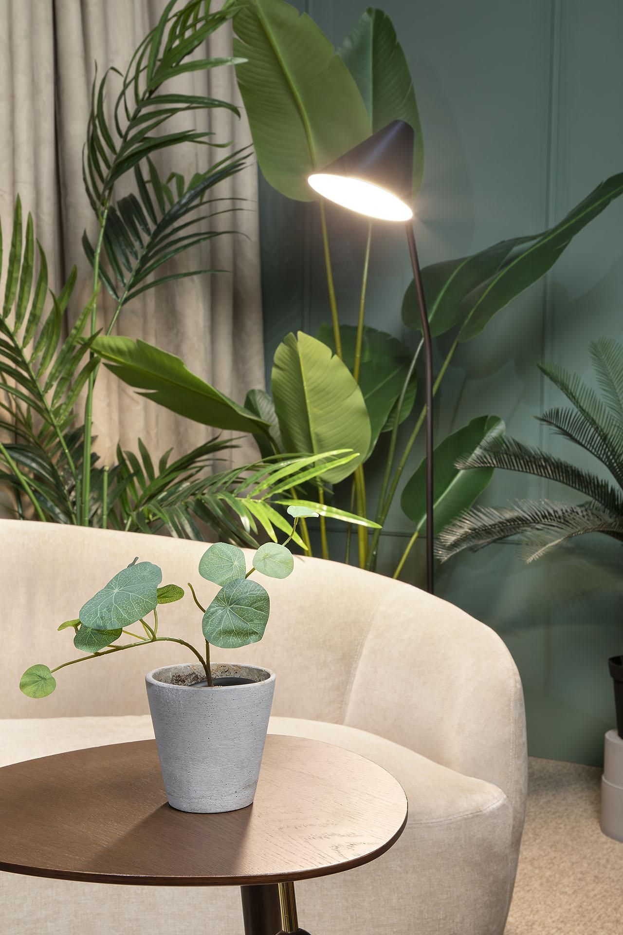 Berlijn  Studio TRGRS Videostudio Prenzlberg Studio 1 image 7