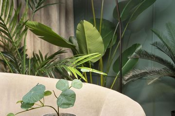 Berlijn Studio TRGRS Videostudio Prenzlberg Studio 1 image 7