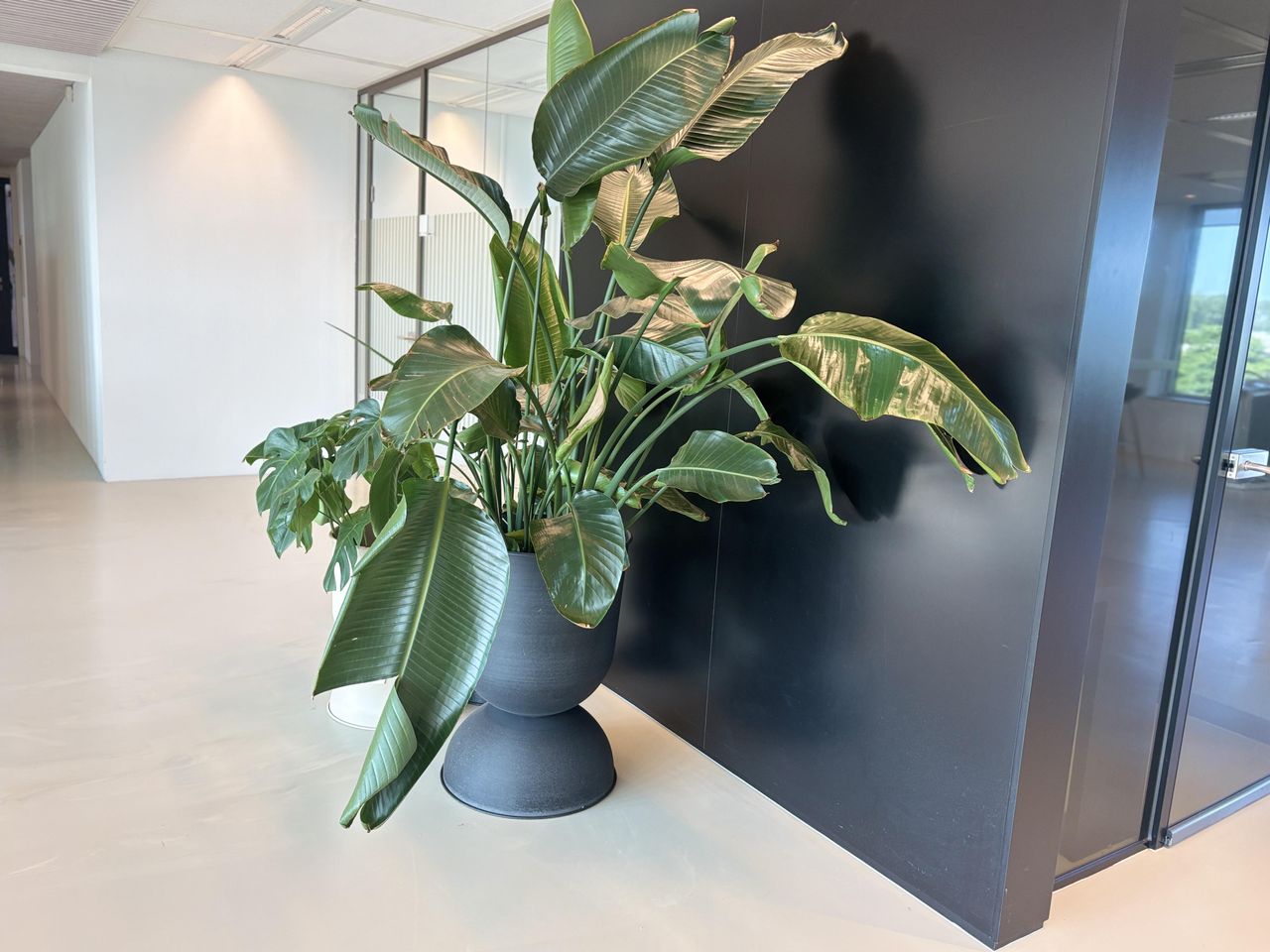 Amsterdam  Conferentiezalen Conference Room image 20