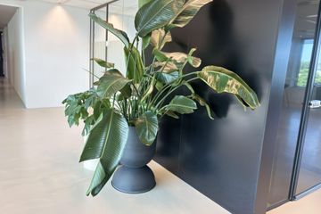 Amsterdam Conference room Conference Room image 20