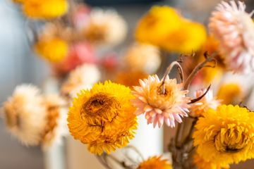 Utrecht Meeting rooms Vergaderruimte image 5