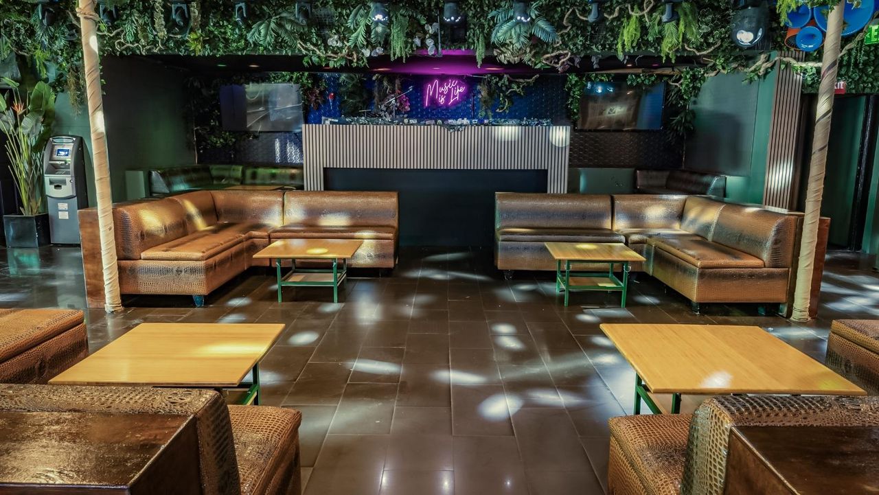 Los Angeles  Bar Jungle Hollywood Night Club image 27
