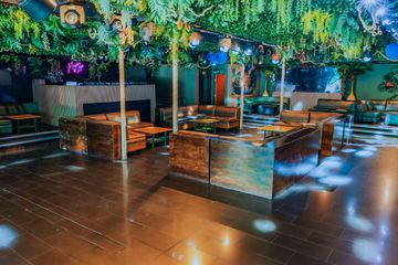 Los Angeles Bar Jungle Hollywood Night Club image 14