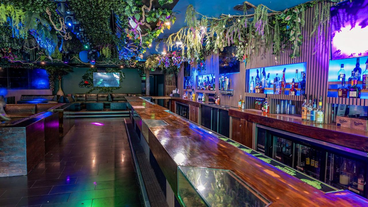 Los Angeles  Bar Jungle Hollywood Night Club image 28